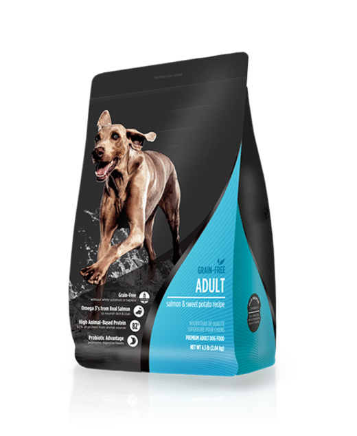 Vegetarian and vegan dog diet